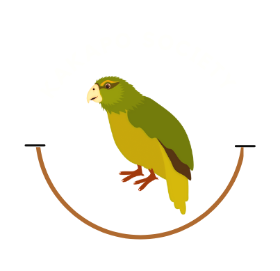 Kakapo company logo